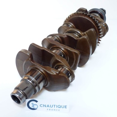 F150 ALBERO A GOMITI 150 CV 4T YAMAHA 63P