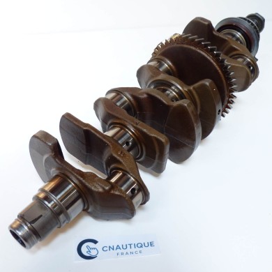 F150 VILEBREQUIN 150 CV 4T YAMAHA 63P