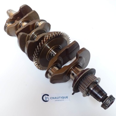 F150 VILEBREQUIN 150 CV 4T YAMAHA 63P