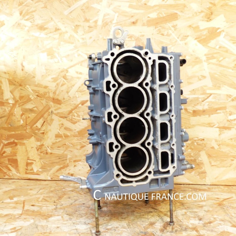 F75 - 100 cv yamaha bloc moteur 67F