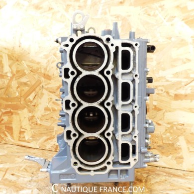 F75 - 100 cv yamaha bloc moteur 67F