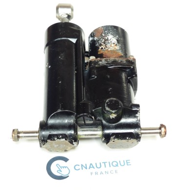 TRIM 40 - 60 CV JOHNSON EVINRUDE  5005441 E-TEC