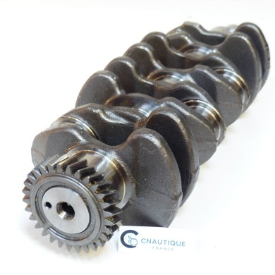 DF70A DF100A VILEBREQUIN 70 - 100 CV SUZUKI 12220-87L00