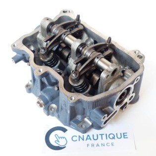 F20 DELLA TESTATA 20 CV 4T YAMAHA SELVA 6AH F20BMH