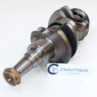 ALBERO A GOMITI 40 - 50 CV 2T EVINRUDE E-TEC