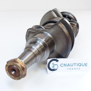 ALBERO A GOMITI 40 - 50 CV 2T EVINRUDE E-TEC