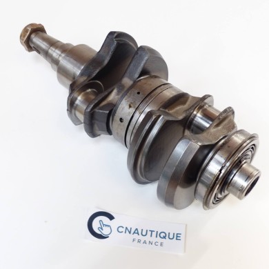 EVINRUDE 40 - 60 CV HORS-BORD EVINRUDE E-TEC