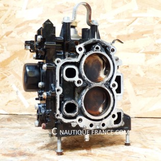 15 - 20 CV 4T TESTA MOTORE MERCURY