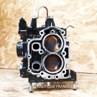 15 - 20 CV 4T TESTA MOTORE MERCURY