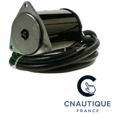 MOTEUR DE TRIM 70 - 250 CV HORS-BORD JOHNSON EVINRUDE