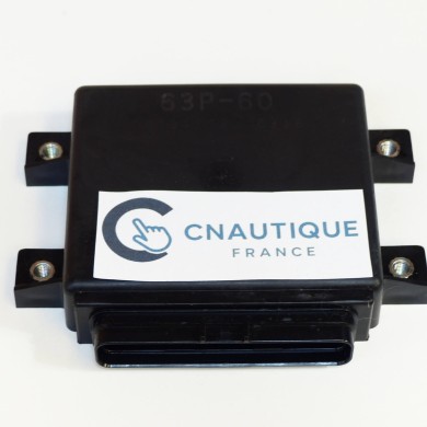 BOITIER ECU 150 CV 4T YAMAHA F150