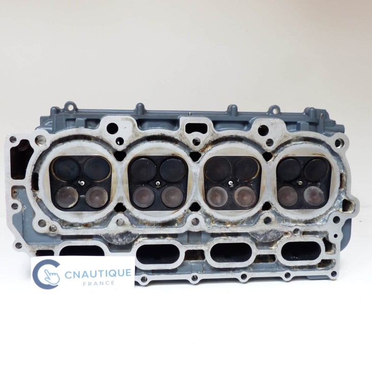 F150A TESTATA CILINDRO 150 CV 4T YAMAHA 63P