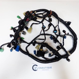 BF135 FAISCEAU ELECTRIQUE 135 CV HONDA ZY5 32100-ZY5-040