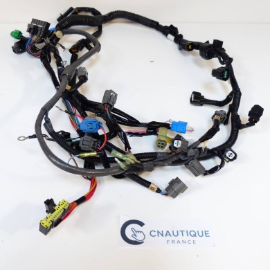 F150 FL150 CABLAGGIO ELETTRICO 150 CV 4T YAMAHA 63P 64P