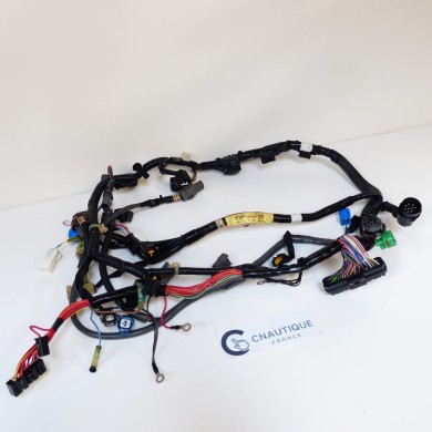 F150 FL150 CABLAGGIO ELETTRICO 150 CV 4T YAMAHA 63P 64P