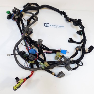 F150 FL150 CABLAGGIO ELETTRICO 150 CV 4T YAMAHA 63P 64P