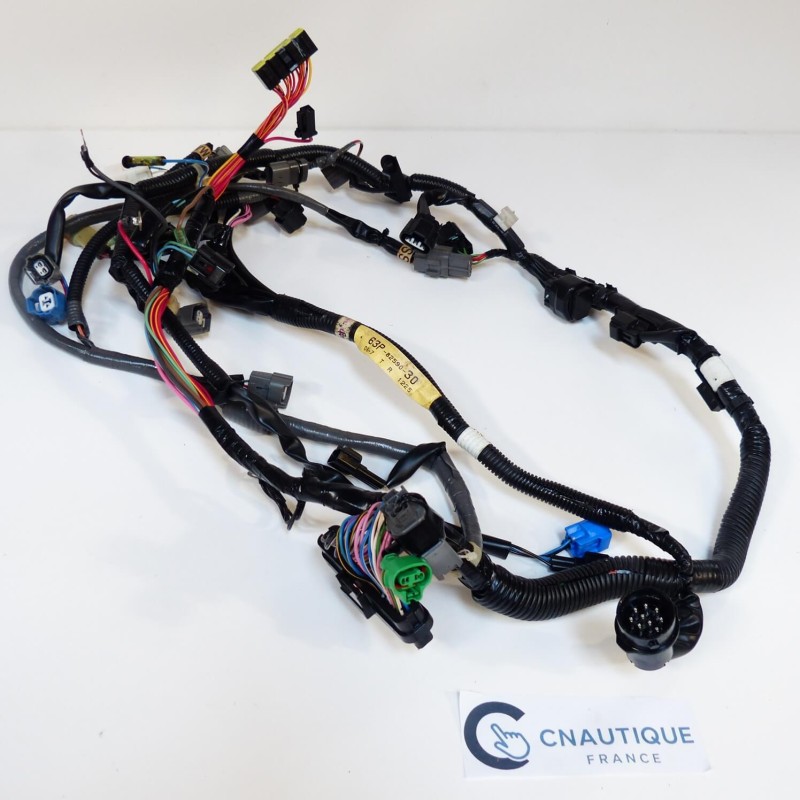 F150 FL150 CABLAGGIO ELETTRICO 150 CV 4T YAMAHA 63P 64P