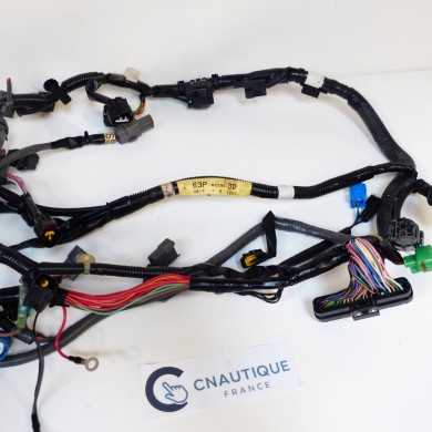 F150 FL150 WIRE HARNESS 150 HP 4S YAMAHA 63P 64P