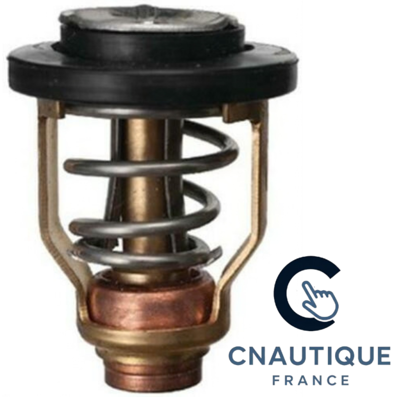 THERMOSTAT POUR HORS-BORD 100 - 300 CV YAMAHA MERCURY