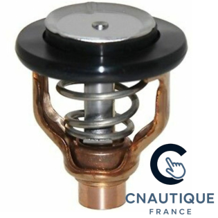 THERMOSTAT MOTEUR HORS-BORD 300 - 350 CV YAMAHA F300 F350