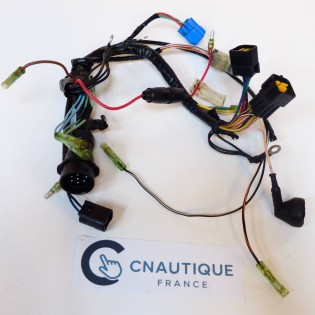 Faisceau electrique F50 YAMAHA 64J