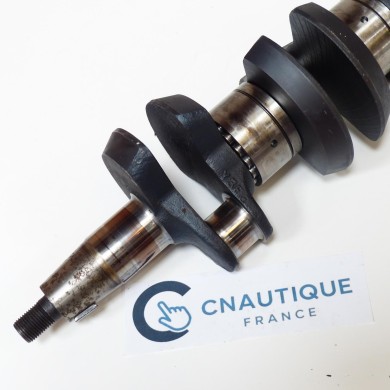30 - 50 CV 2T VILEBREQUIN MERCURY 827954T3