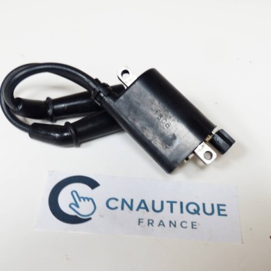 BOBINE OCCASION HORS-BORD 60 - 70 CV 4T SUZUKI JOHNSON