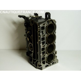 CARTER BLOC MOTEUR 40 - 50 CV 4T MARINER MERCURY YAMAHA