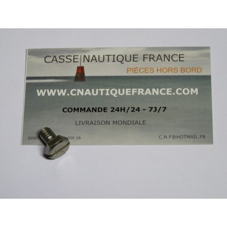 BULLONE CARBURATORE JOHNSON EVINRUDE 330057