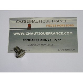 VIS DE CARBURATEUR JOHNSON EVINRUDE 330057