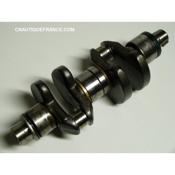 ALBREO A GOMITI 20 - 25 CV 2T MERCURY 464-4978