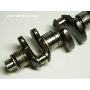 VILEBREQUIN 20 - 25 CV 2T MERCURY 464-4978