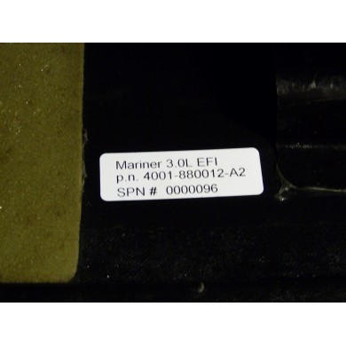 CAPOT 250 CV EFI MARINER (1302)