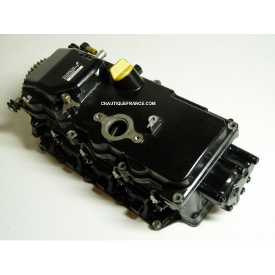 DELLA TESTATA 50 CV 4T MERCURY MARINER 825034