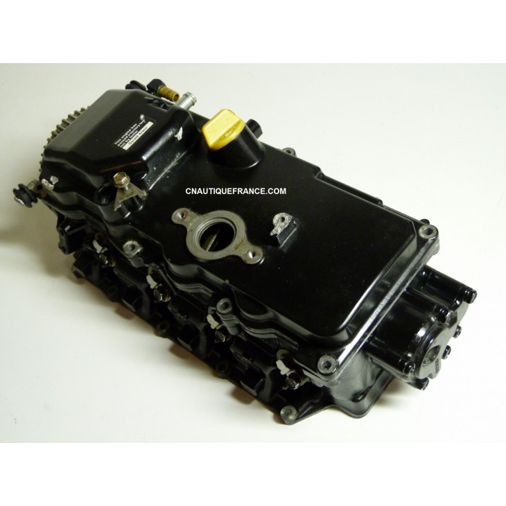 DELLA TESTATA 50 CV 4T MERCURY MARINER 825034