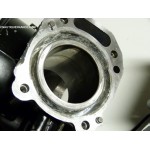 CARTER BLOC MOTEUR 4 - 5 - 6 CV 4T TOHATSU NISSAN