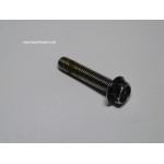 BOULON DE CULASSE 9.9 - 15 CV YAMAHA 90105-07M05-00