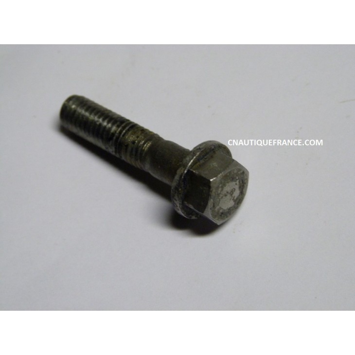 BOULON JOHNSON EVINRUDE 331999