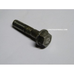 BULLONE JOHNSON EVINRUDE 331999