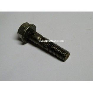 SCREW JOHNSON EVINRUDE 331999