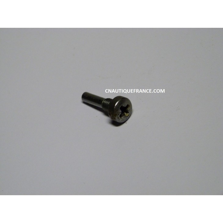 SCREW JOHNSON EVINRUDE 308376