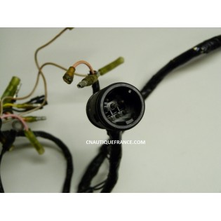 HARNESS 150 HP 2S SUZUKI