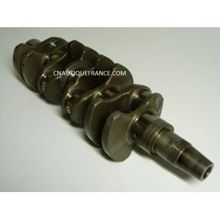 VILEBREQUIN 60 - 70 CV 4T SUZUKI 99E