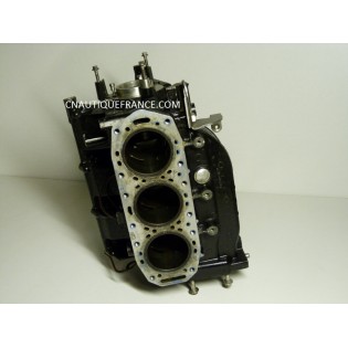 CARTER BLOC MOTEUR 25 - 35 CV 2T JOHNSON EVINRUDE