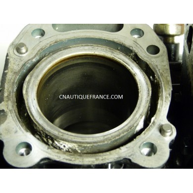 CARTER BLOC MOTEUR 4 - 6 CV 4T TOHATSU NISSAN