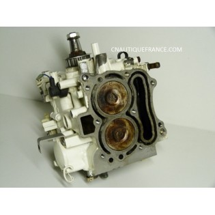 POWERHEAD 9.9 - 15 HP 4S JOHNSON 5032716