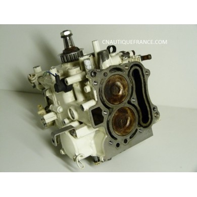 BLOCCO MOTORE 9.9 - 15 CV 4T JOHNSON 5032716