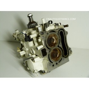 POWERHEAD 9.9 - 15 HP 4S JOHNSON 5032716