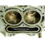 POWERHEAD 9.9 - 15 HP 4S JOHNSON 5032716