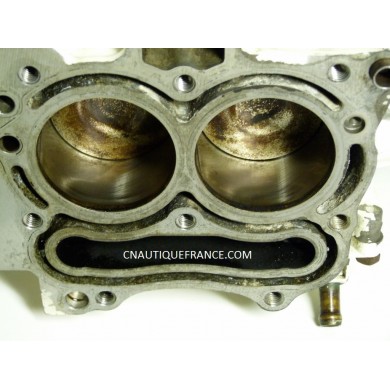 BLOCCO MOTORE 9.9 - 15 CV 4T JOHNSON 5032716